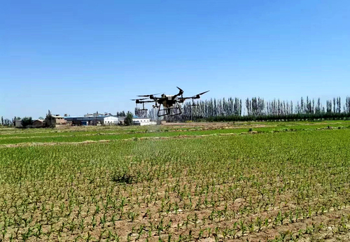 生产基地图片 (5).jpg