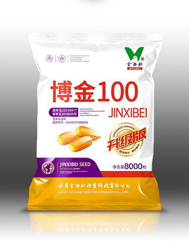 博金100