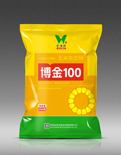 博金100